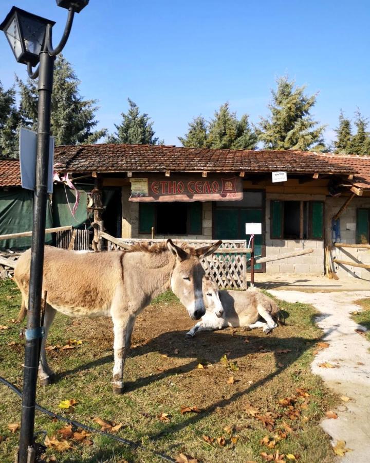 Vojnik Etno Selo Timcevski Complex מראה חיצוני תמונה